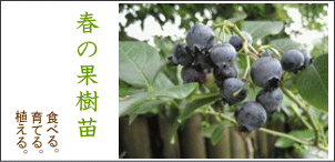 �t�ɂ͉ʎ��c��A����