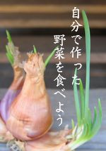 ���N��؂̕c